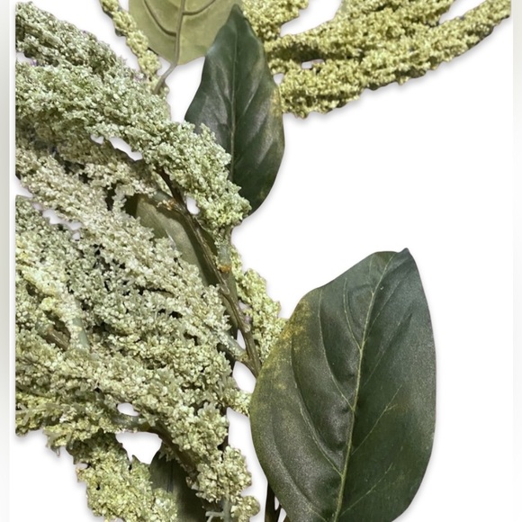 3 Cascading Pale Green Amaranth Stems - Picture 2 of 4